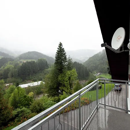 Apartament In Black Forest Near Bear Park, Cleaning Included