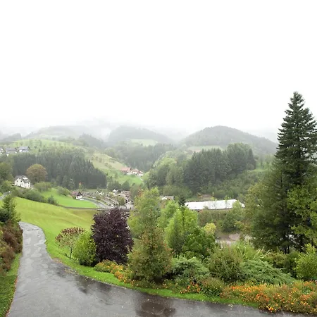 Apartament In Black Forest Near Bear Park, Cleaning Included