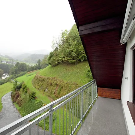 In Black Forest Near Bear Park, Cleaning Included Apartament