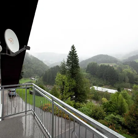In Black Forest Near Bear Park, Cleaning Included * Bad Peterstal-Griesbach