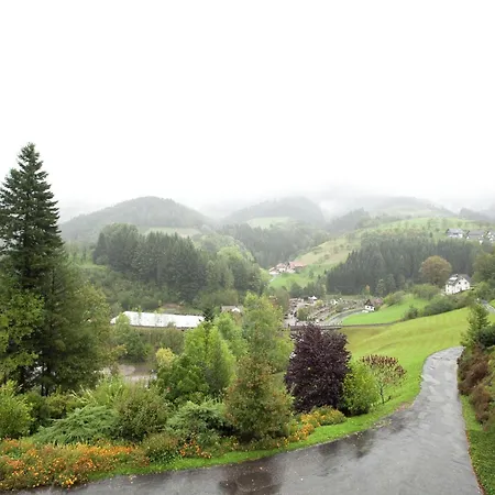 In Black Forest Near Bear Park, Cleaning Included Apartament Bad Peterstal-Griesbach