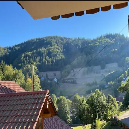 In Black Forest Near Bear Park, Cleaning Included *