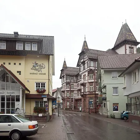 In Black Forest Near Bear Park, Cleaning Included *