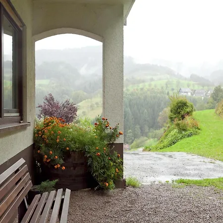 In Black Forest Near Bear Park, Cleaning Included * Bad Peterstal-Griesbach
