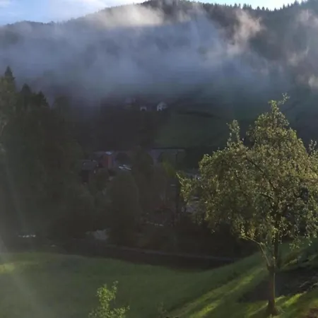 In Black Forest Near Bear Park, Cleaning Included Apartament