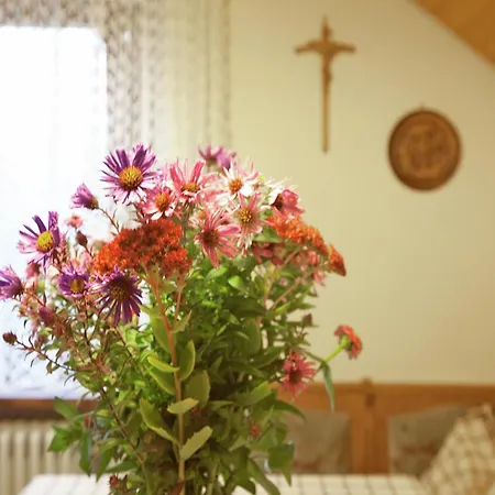 In Black Forest Near Bear Park, Cleaning Included Apartament