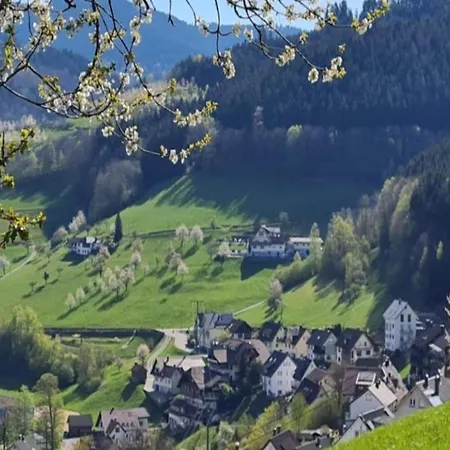 In Black Forest Near Bear Park, Cleaning Included Apartament *